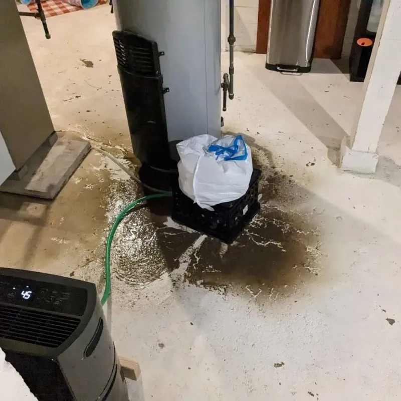 Sewage Backup Cleanup Service in Dinuba, CA